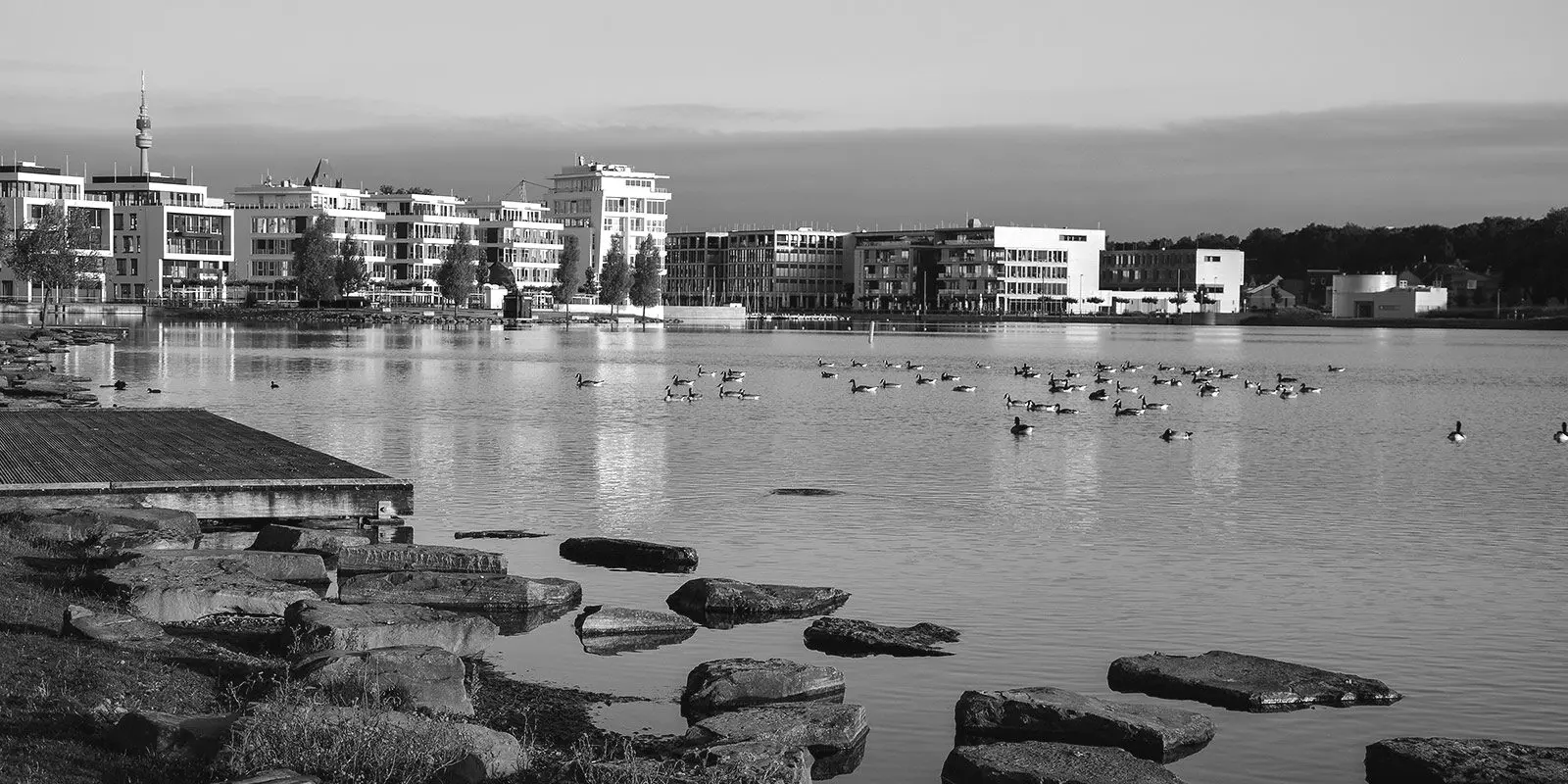 Städtebau am Wasser mit Enten
