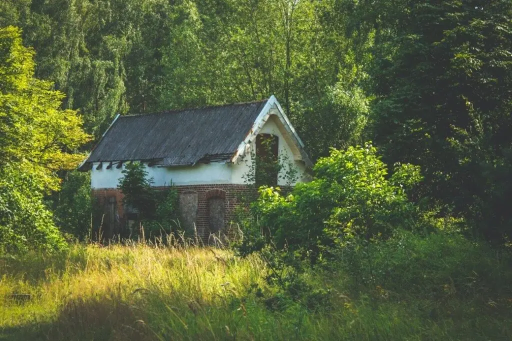Verfallenes Haus umgeben von dichter Natur