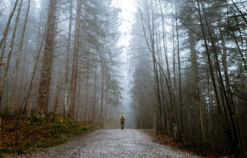 Wanderer auf einem nebligen Waldweg